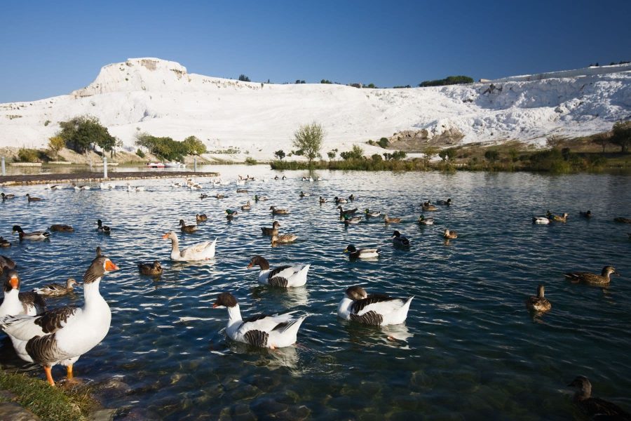 Pamukkale Tour Kuşadası