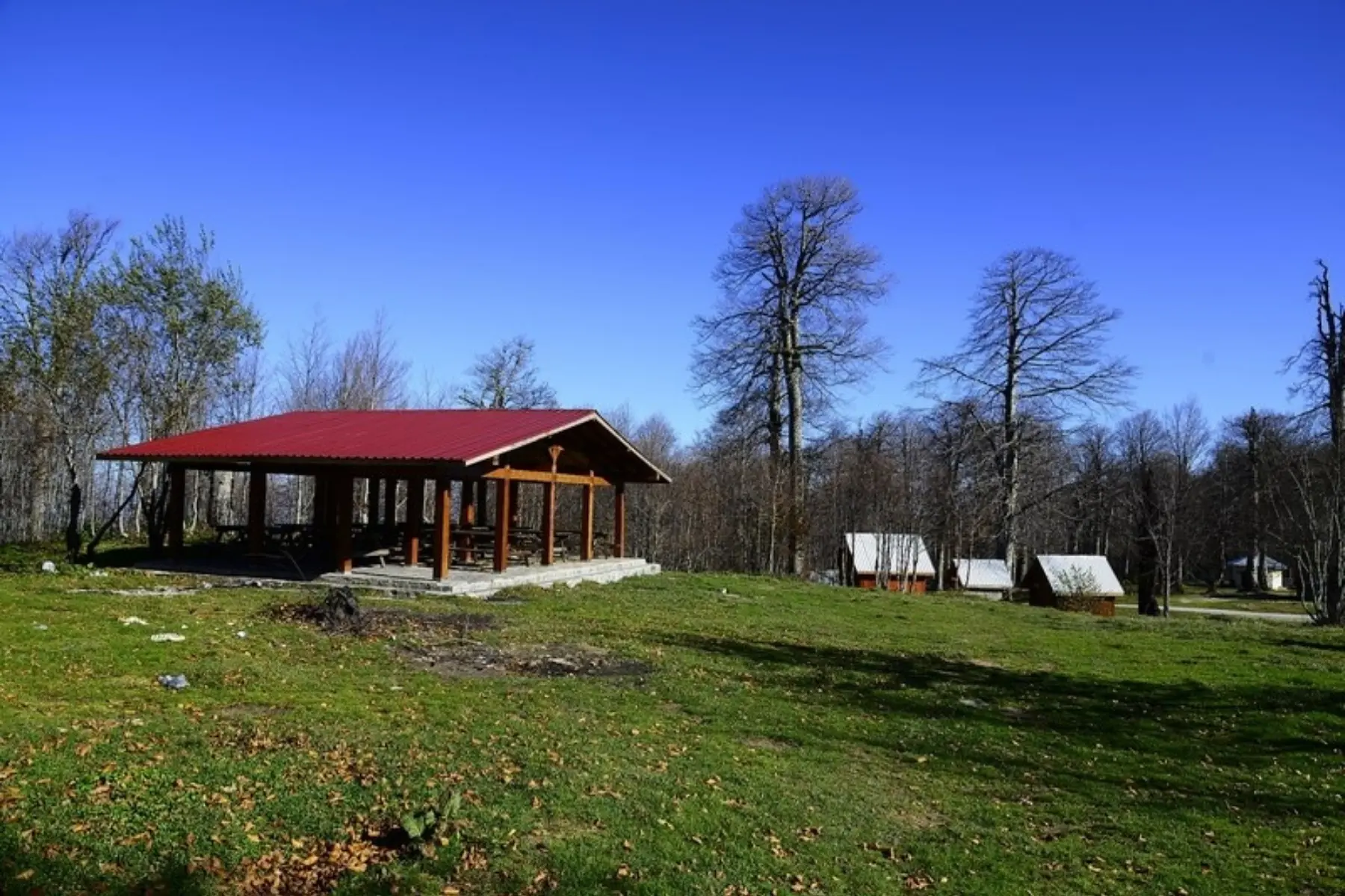 Maşukiye & Sapanca Tour | Day Trip Nature Tour Departing from Istanbul