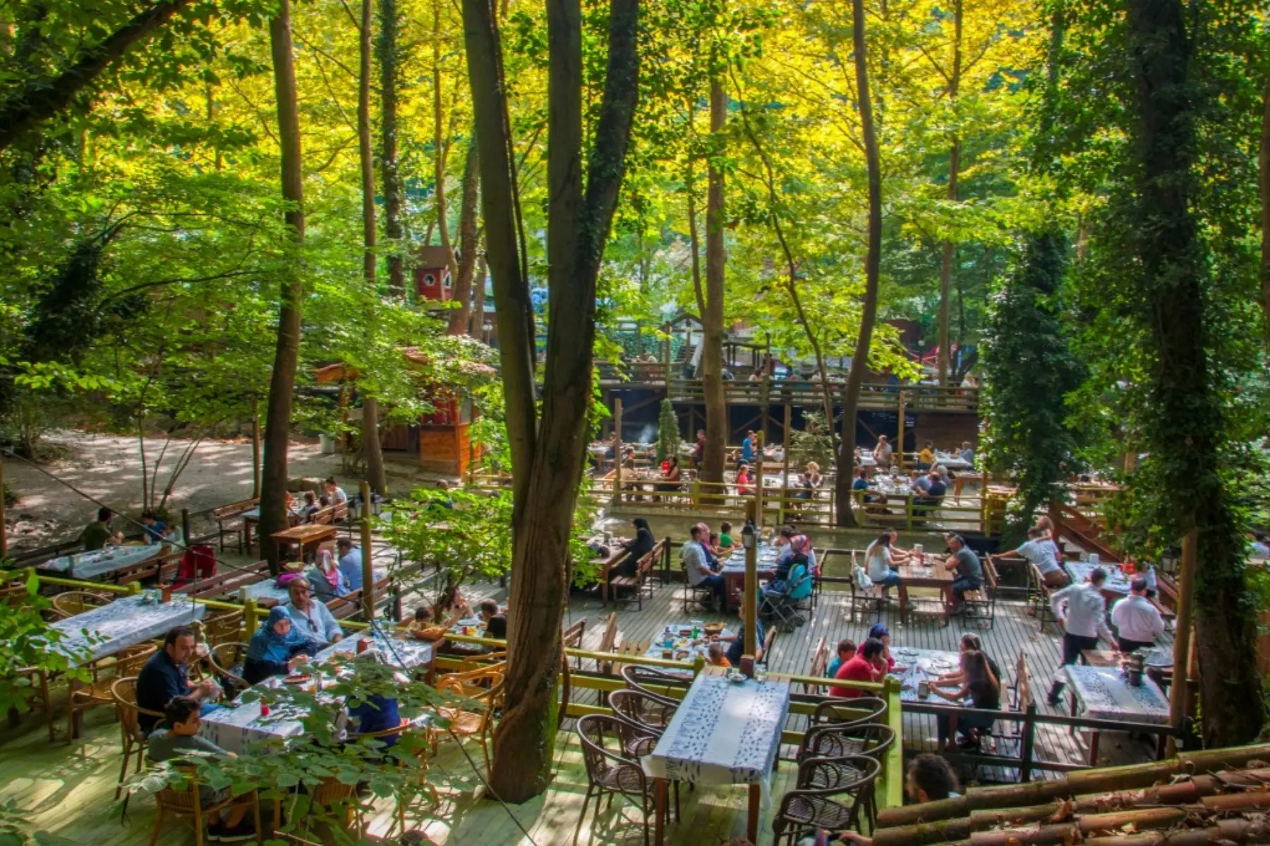 Maşukiye & Sapanca Tour | Day Trip Nature Tour Departing from Istanbul