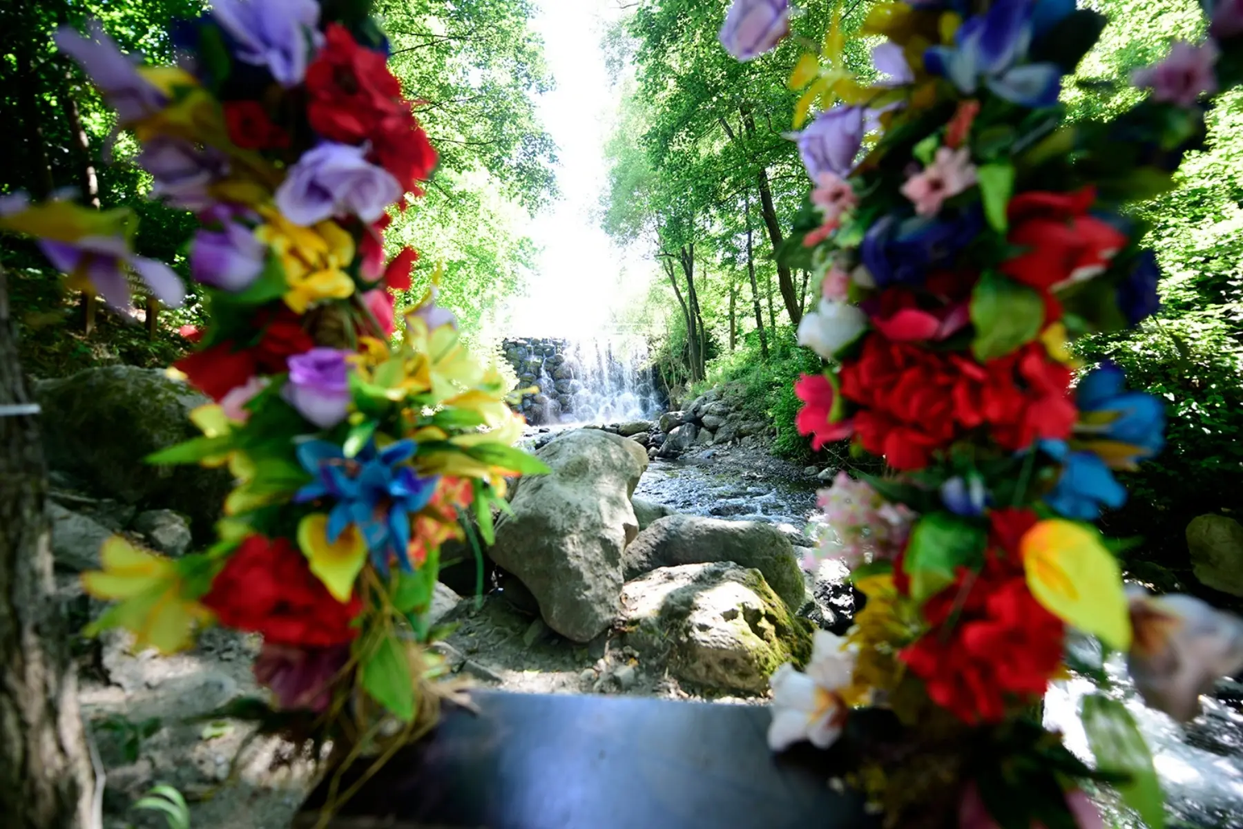 Maşukiye & Sapanca Tour | Day Trip Nature Tour Departing from Istanbul