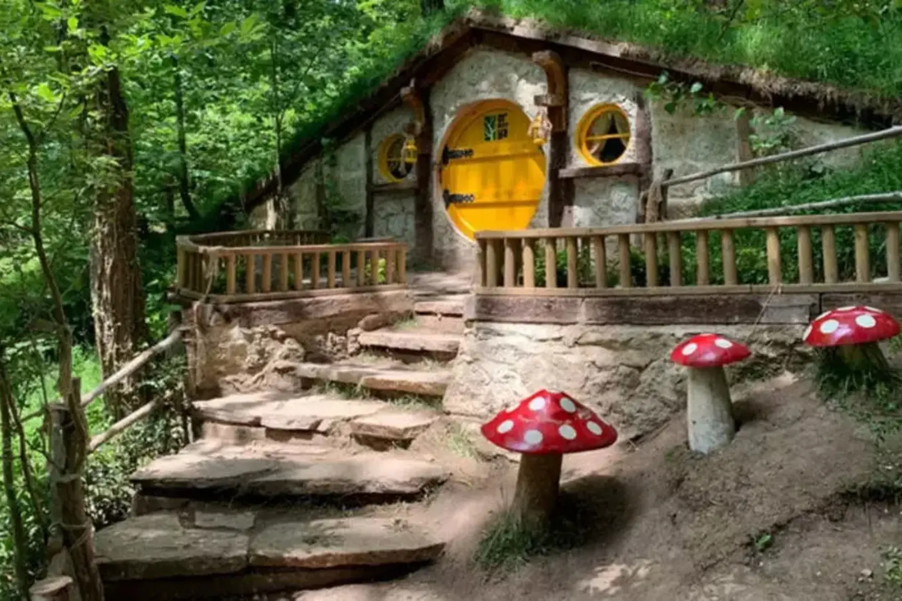 Maşukiye & Sapanca Tour | Day Trip Nature Tour Departing from Istanbul