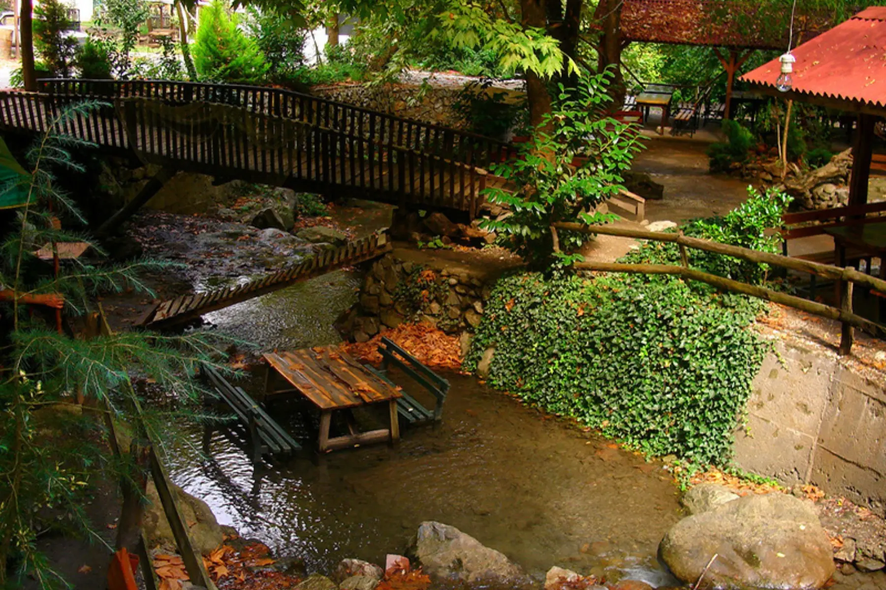 Maşukiye & Sapanca Tour | Day Trip Nature Tour Departing from Istanbul