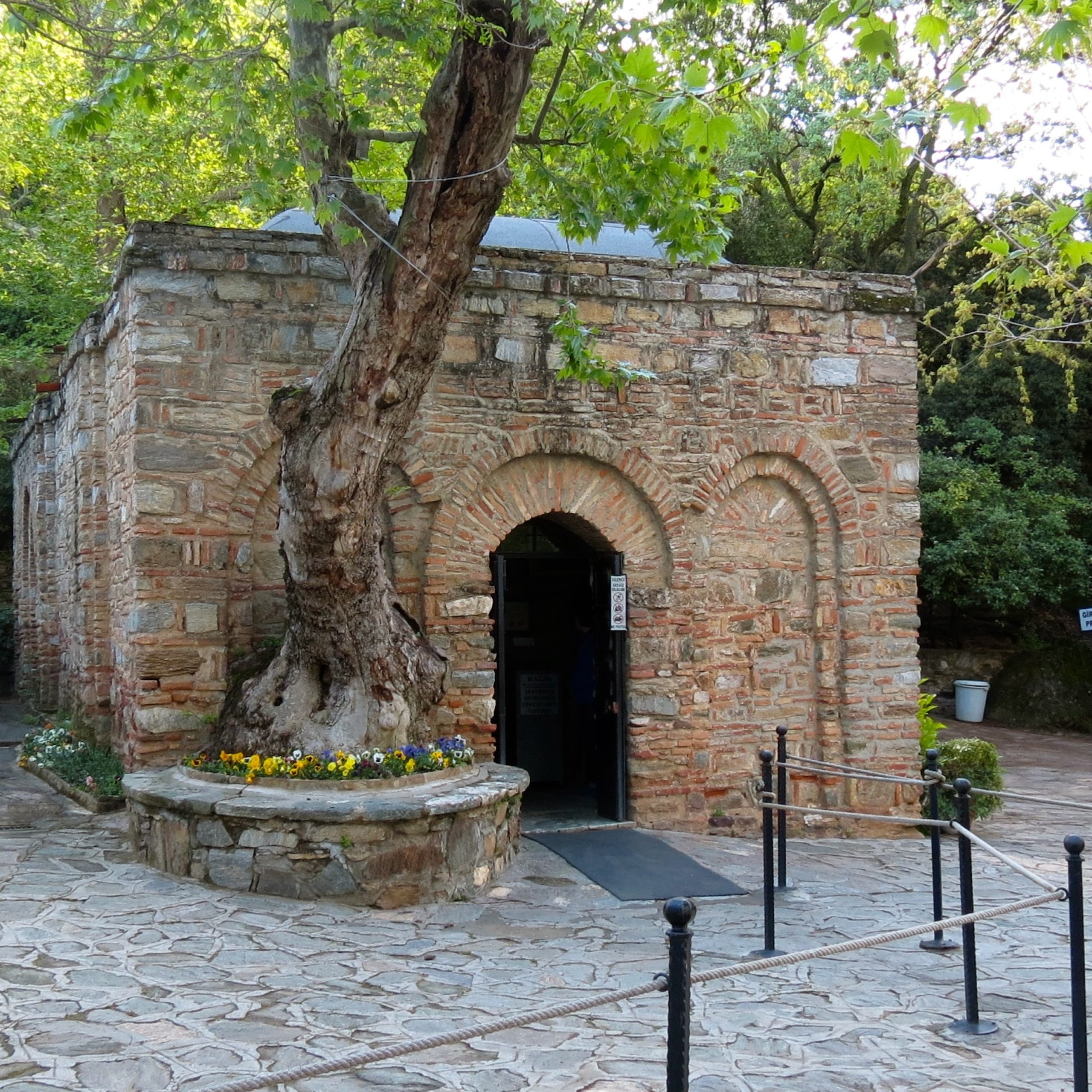 Ephesus Selcuk Tour | Departing from Istanbul