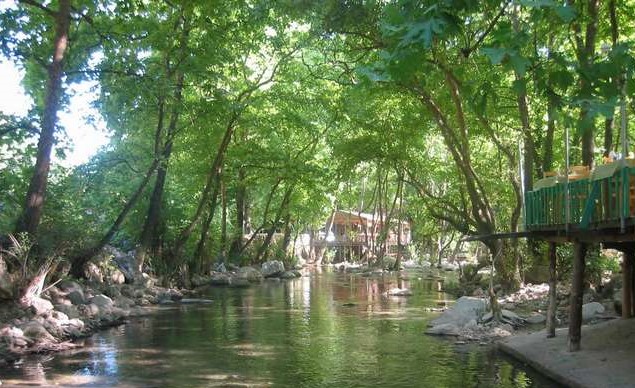  Lunch at a Local Restaurant 