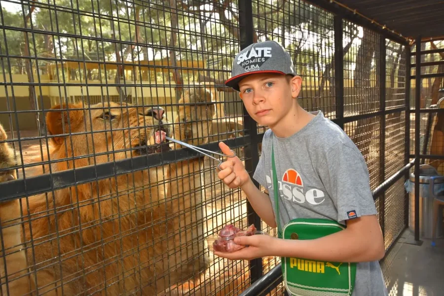 Antalya Lion Safari – Funtastic Wildlife Park Tour