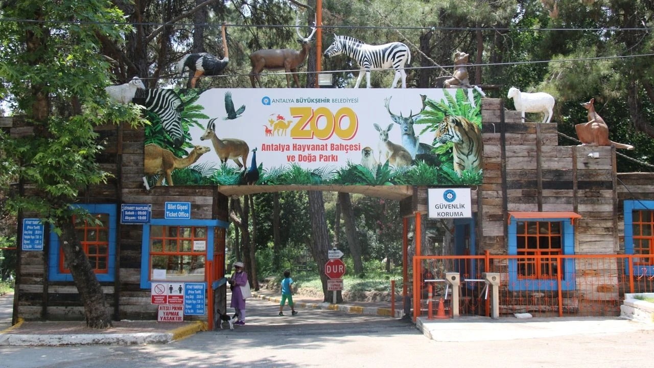  Arrival at the zoo 14:30 pm